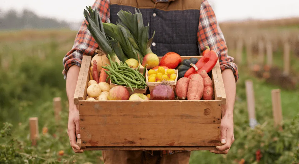 farmer holding crate of food